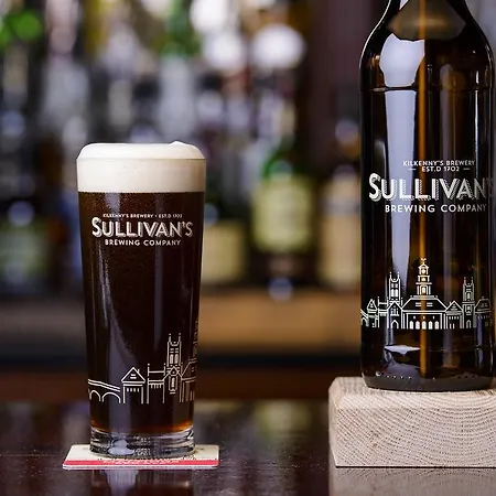 Hibernian فندق كيلكيني